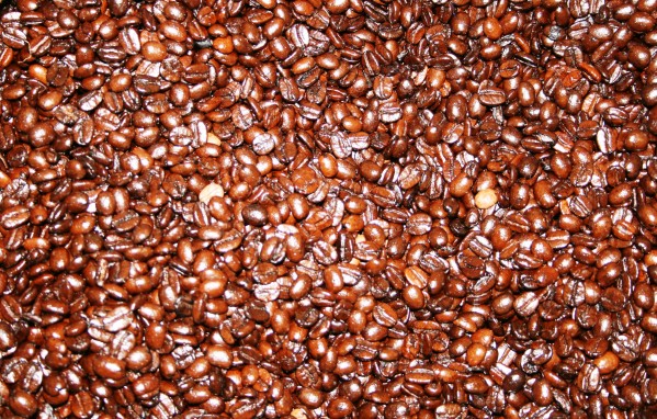 Coffee seeds by Locspics